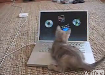 Choosey Kittens Choose Macs